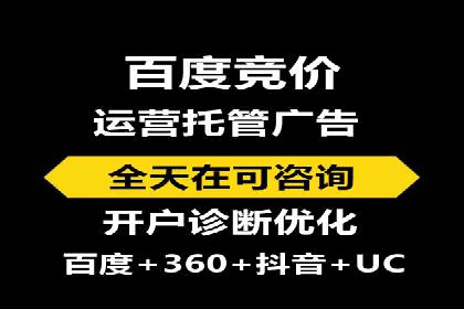 某某SEM服务公司成功案例：从数据出发的营销策略