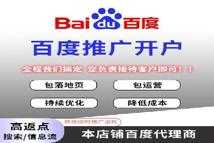 百度推广平台案例剖析：揭秘广告投放策略